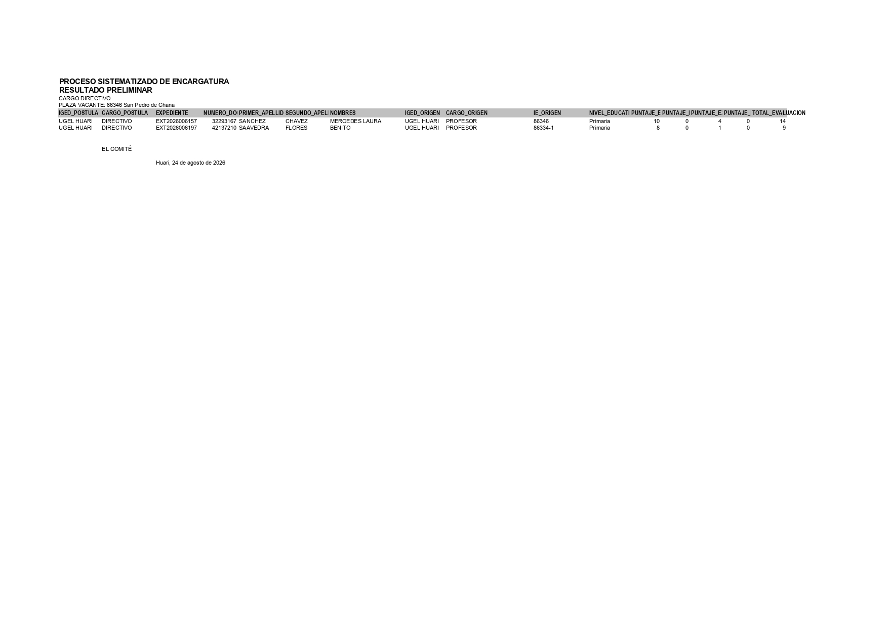 Resultado Preliminar Cargo Directivo